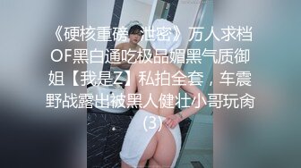 《硬核重磅✅泄密》万人求档OF黑白通吃极品媚黑气质御姐【我是Z】私拍全套，车震野战露出被黑人健壮小哥玩肏 (3)