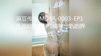 麻豆传媒 MDSR-0003-EP1 性婚姻生活EP1精神出轨的界线