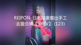 REIPON-日本淫妻露出手工去重合集【388V】 (123)