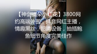 【神剑摘朵小红花】3800网约高端外围，抖音网红主播，情趣黑丝，超清设备，抽插鲍鱼细节角度完美佳作