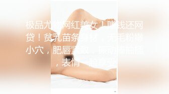 极品尤物网红美女！赚钱还网贷！贫乳苗条身材，无毛粉嫩小穴，肥唇紧致，振动棒抽插，表情一脸享受