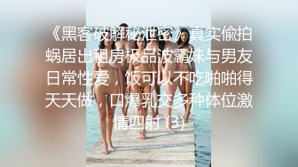 《黑客破解秘泄密》真实偸拍蜗居出租房极品波霸妹与男友日常性爱，饭可以不吃啪啪得天天做，口爆乳交多种体位激情四射 (3)