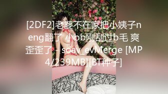 [2DF2]老婆不在家把小姨子neng翻了 小bb刚刮过b毛 爽歪歪了 - soav_evMerge [MP4/239MB][BT种子]