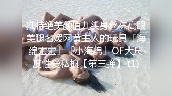 推特绝美颜值九头身丝袜高跟美腿名媛网黄主人的玩具「海绵宝宝」「小海绵」OF大尺度性爱私拍【第三弹】 (1)