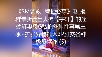 《SM调教✅臀控必享》电_报群最新流出大神【宇轩】的淫荡骚妻母G私拍各种性事第三季~扩张异物插入3P肛交各种极限操作 (5)