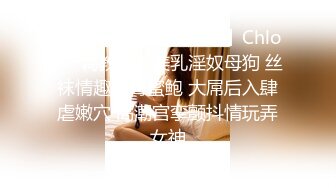 【超美❤️人气反差婊】Chloe✨ 调教白虎美乳淫奴母狗 丝袜情趣淫臀蜜鲍 大屌后入肆虐嫩穴 高潮宫挛颤抖情玩弄女神