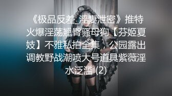 《极品反差_淫妻泄密》推特火爆淫荡翘臀骚母狗【芬姬夏妓】不雅私拍全集，公园露出调教野战潮喷大号道具紫薇淫水泛滥 (2)