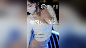 替网友上传2