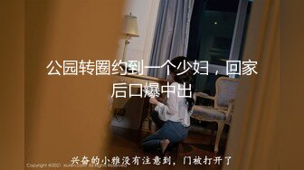 公园转圈约到一个少妇，回家后口爆中出