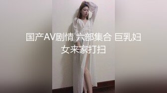 国产AV剧情 六部集合 巨乳妇女来家打扫